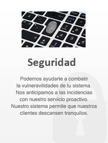 Seguridad 4.4